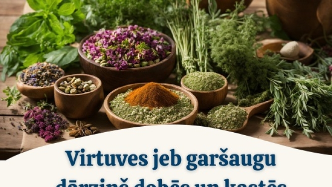 Virtuves jeb garšaugu dārziņu dobēs un kastēs